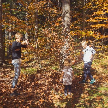 Drewniana Roza Domki Karkonosze Piechowice  Εξωτερικό φωτογραφία